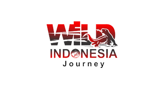 Wild Indonesia Journey - Codenesia - Code Smart Play Hard